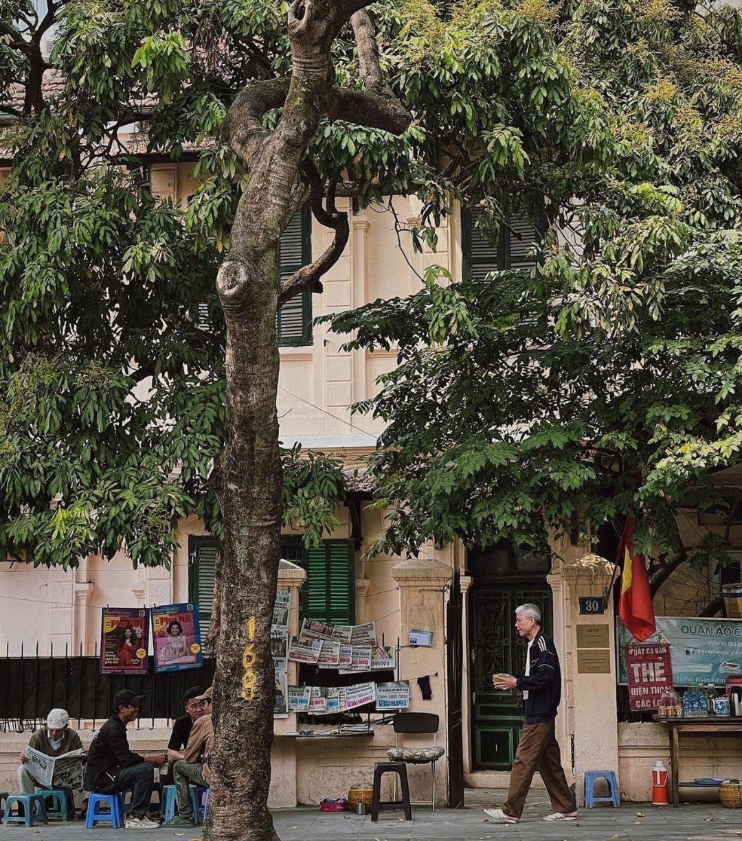 Tropical Land Little Hanoi Homestay 外观 照片