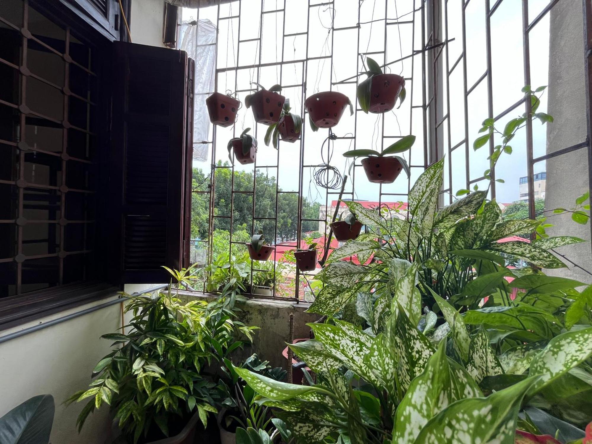 Tropical Land Little Hanoi Homestay 外观 照片