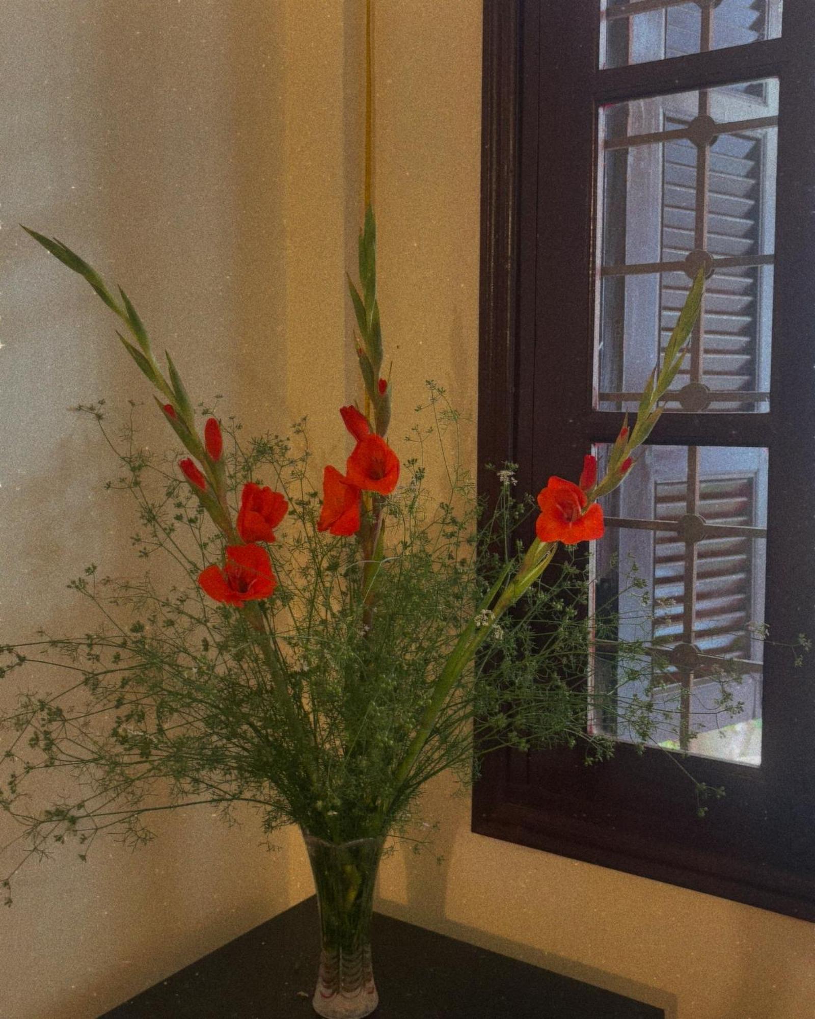 Tropical Land Little Hanoi Homestay 外观 照片